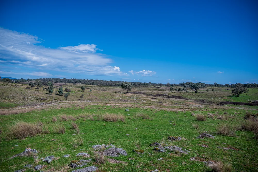 Additional image 9 of 2811 Bylong Valley Way, Rylstone NSW 2849