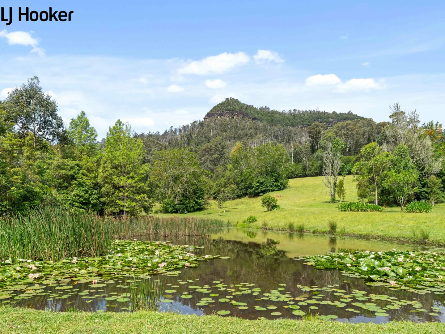 Additional image 27 of 788 Bugong Road, Budgong, Kangaroo Valley NSW 2577