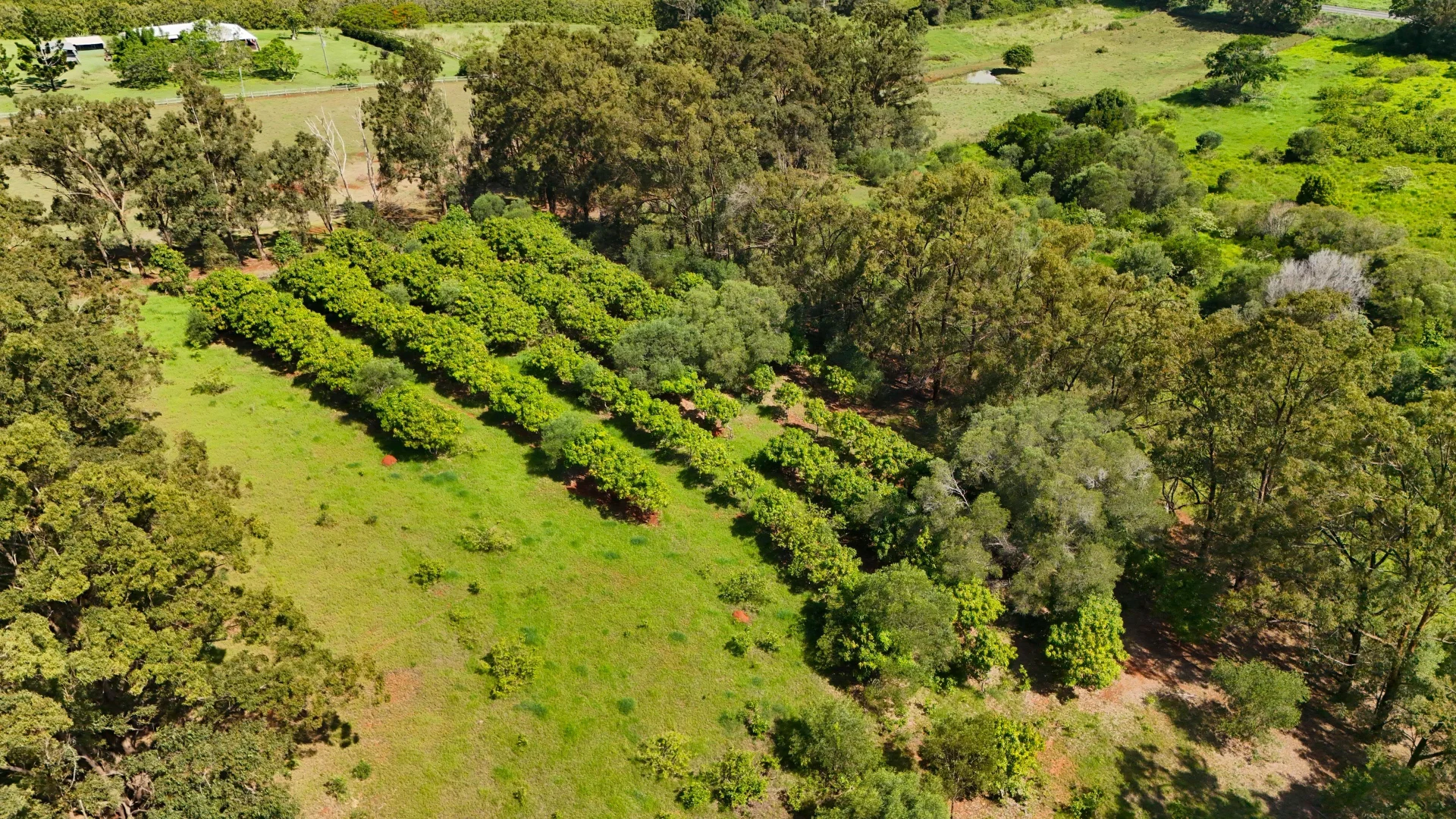Additional image 4 of 12 GOODWOOD ROAD, Childers QLD 4660