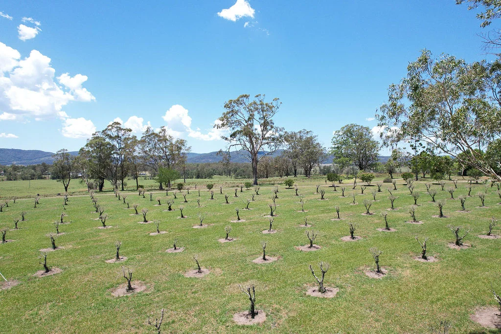 Additional image 32 of 61 Crowthers Road, Gloucester NSW 2422