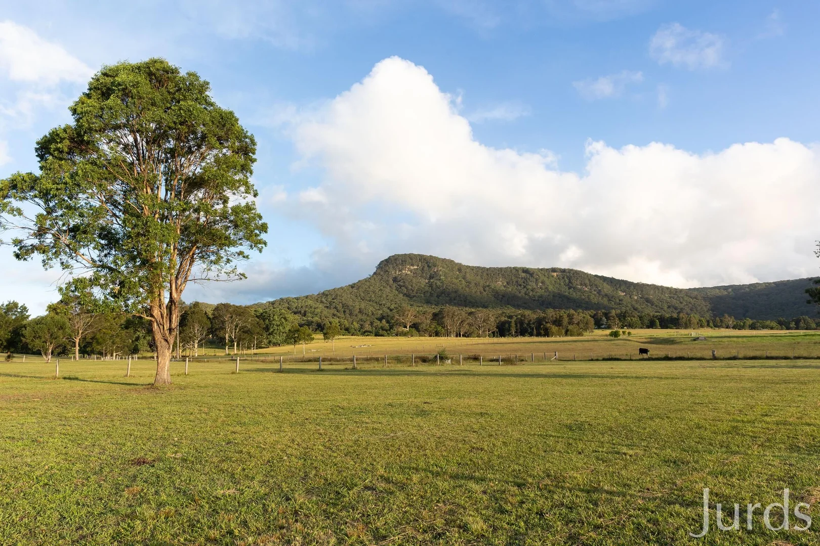 Additional image 33 of 256 Mill Lane, Quorrobolong NSW 2325