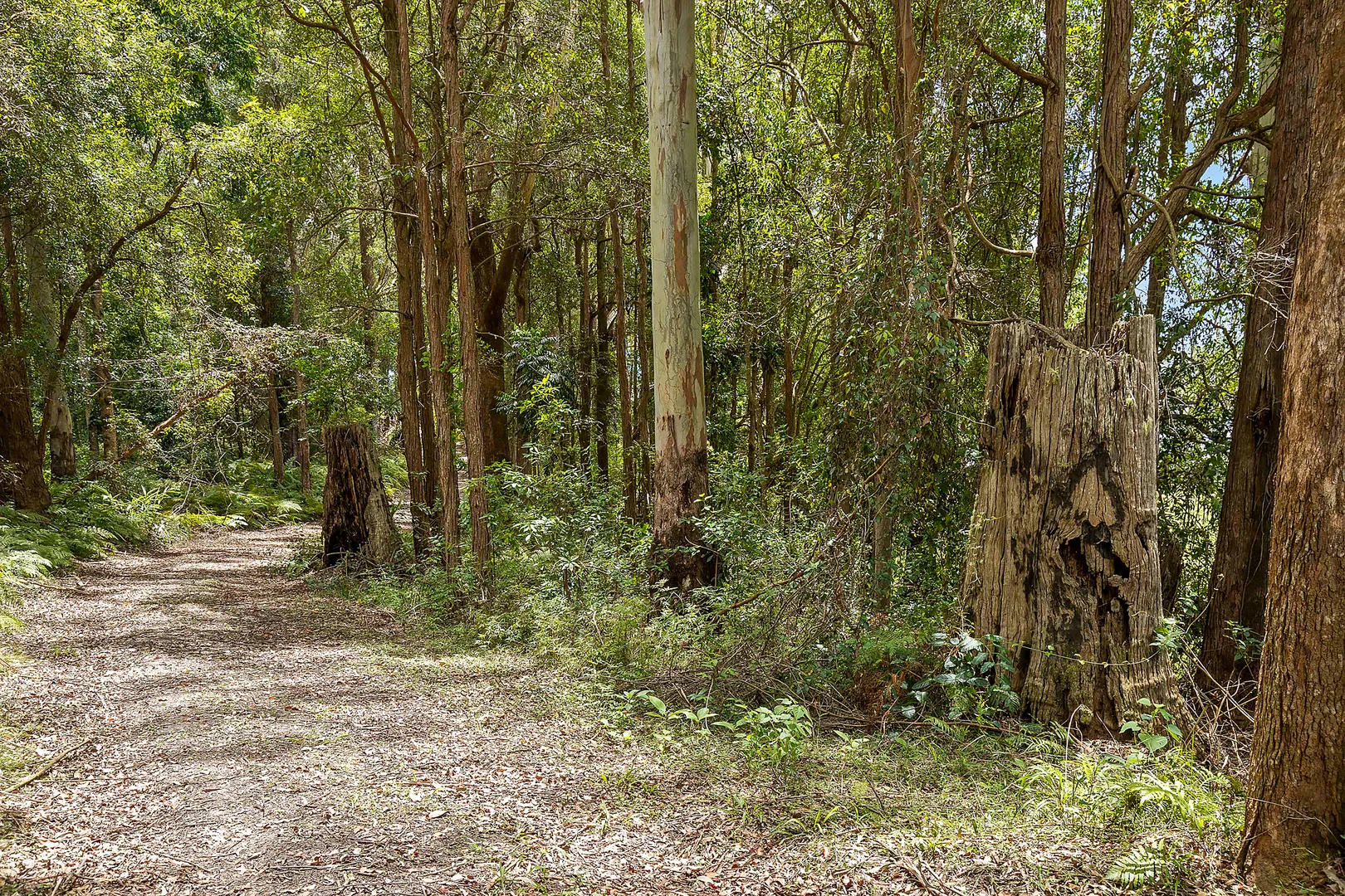 Additional image 25 of 55-105 Brodie Road, Mount Mee QLD 4521