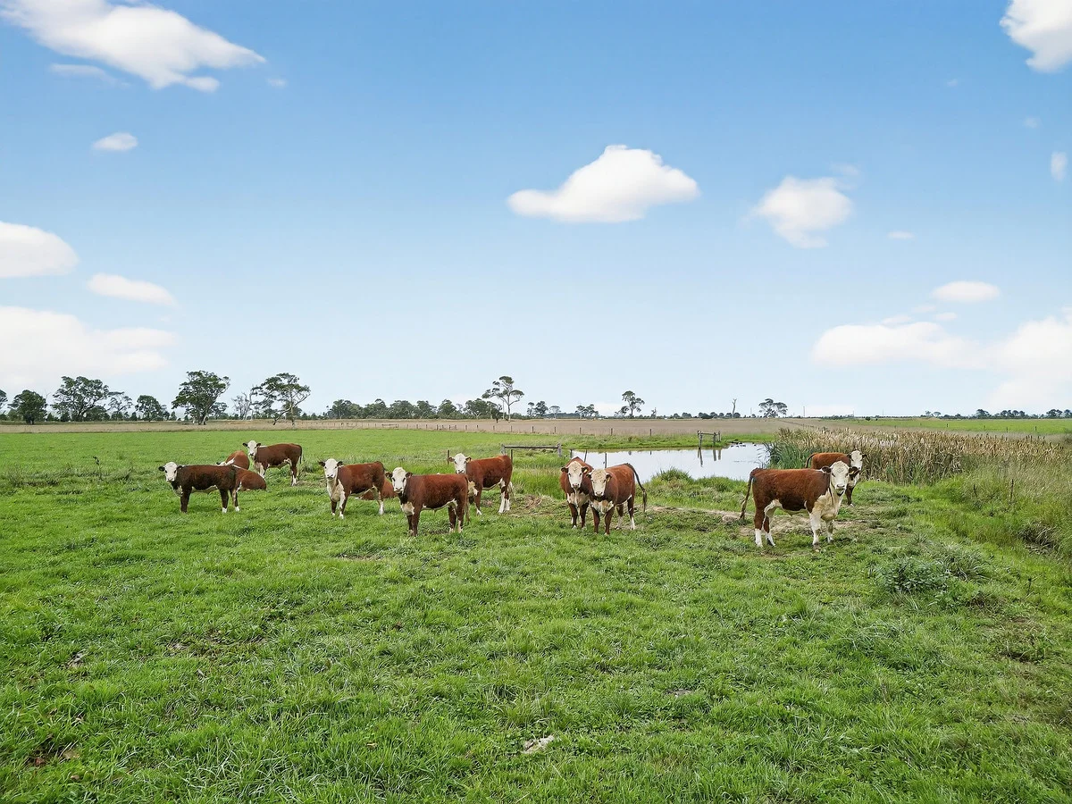 Additional image 8 of 961 Sale-Toongabbie Road, Winnindoo VIC 3858