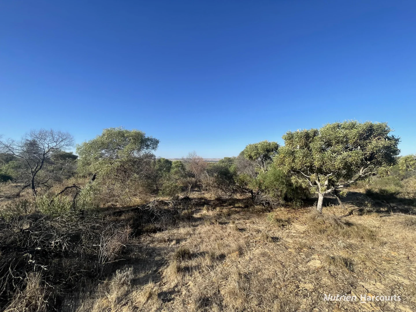 Additional image 8 of Lot 2691 Fraser Road, Walkaway WA 6528