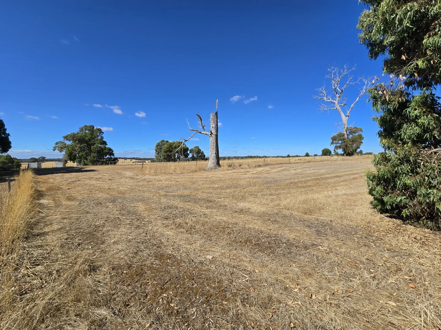 Lot 14/55 Shepherd Road, Frankland River WA 6396