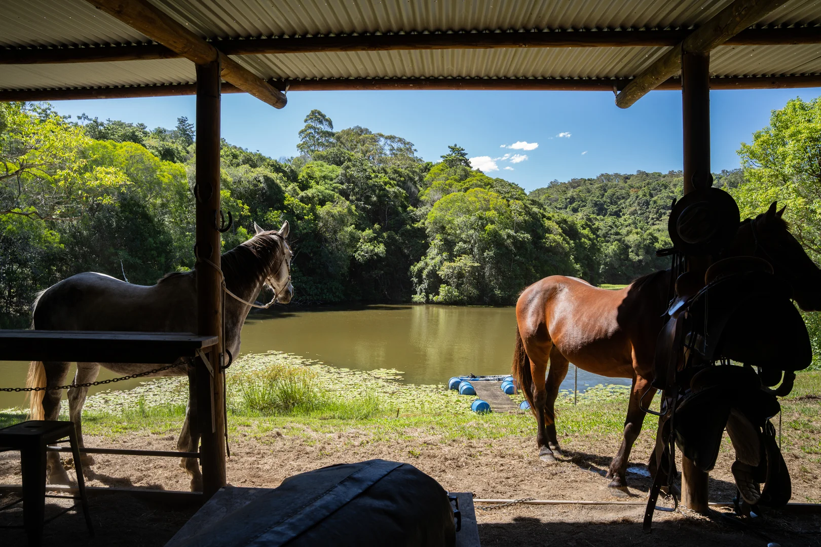 Additional image 11 of 165 Larneys Lane, Eerwah Vale QLD 4562