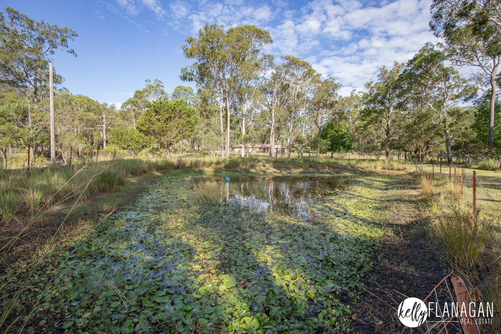 Additional image 23 of 9 The Ponds Way, Aldavilla NSW 2440
