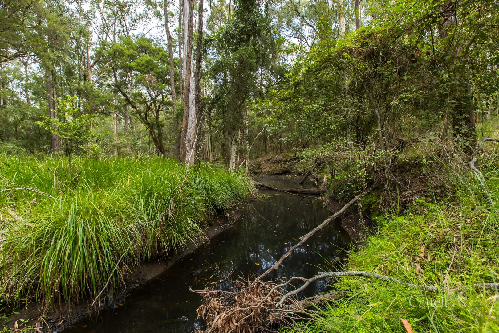 Additional image 2 of Lot 41 Bakers Lane, Sawyers Gully NSW 2326
