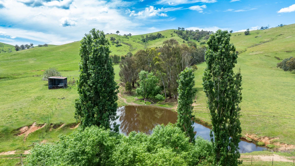 Additional image 13 of Swamp Lane, Dederang VIC 3691