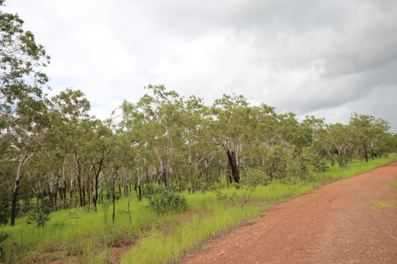 Additional image 14 of 2936 Litchfield Park Road, Charlotte NT 0822