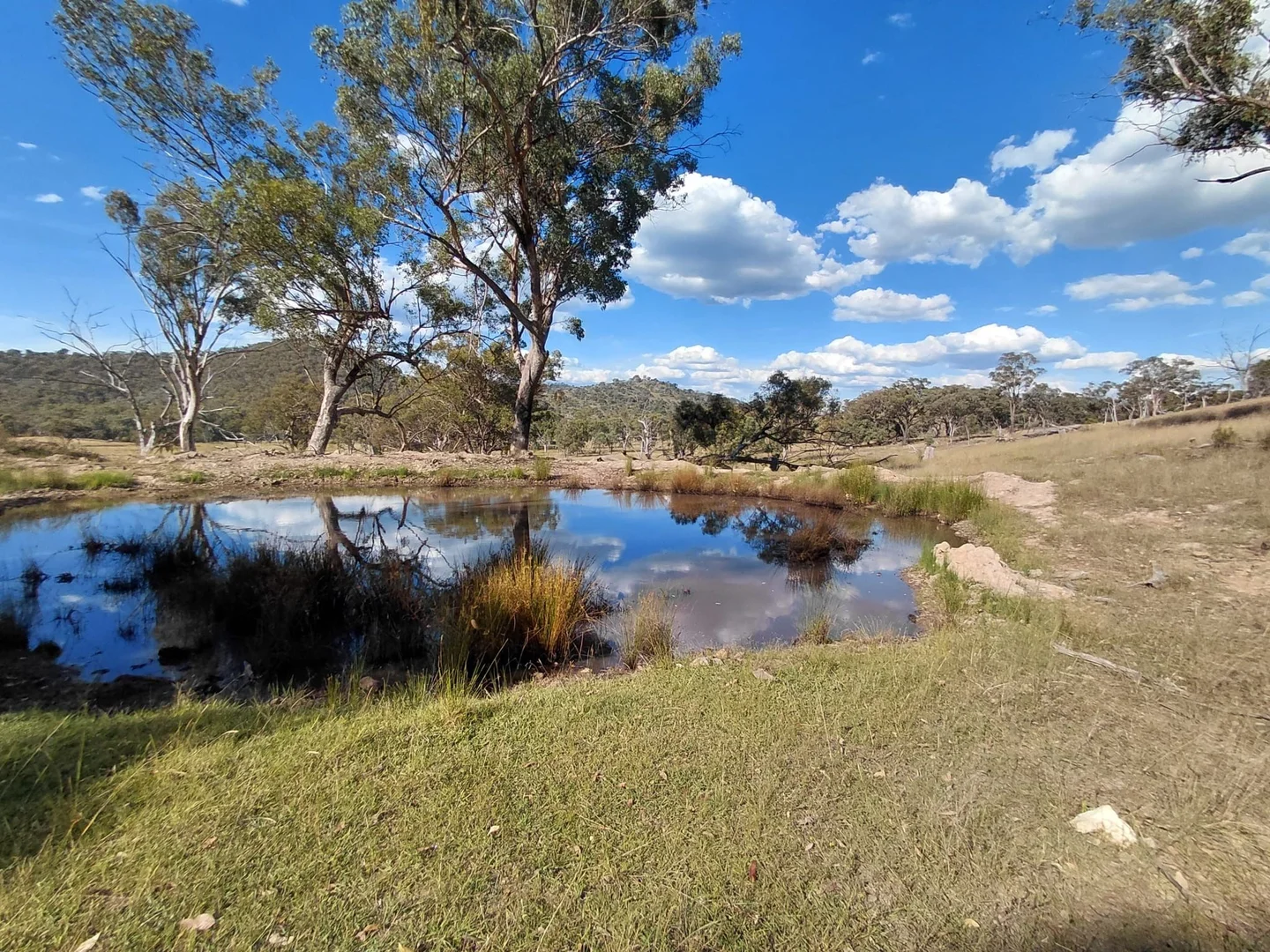 Additional image 4 of Lot 82 4108 Tent Hill Road, Emmaville NSW 2371