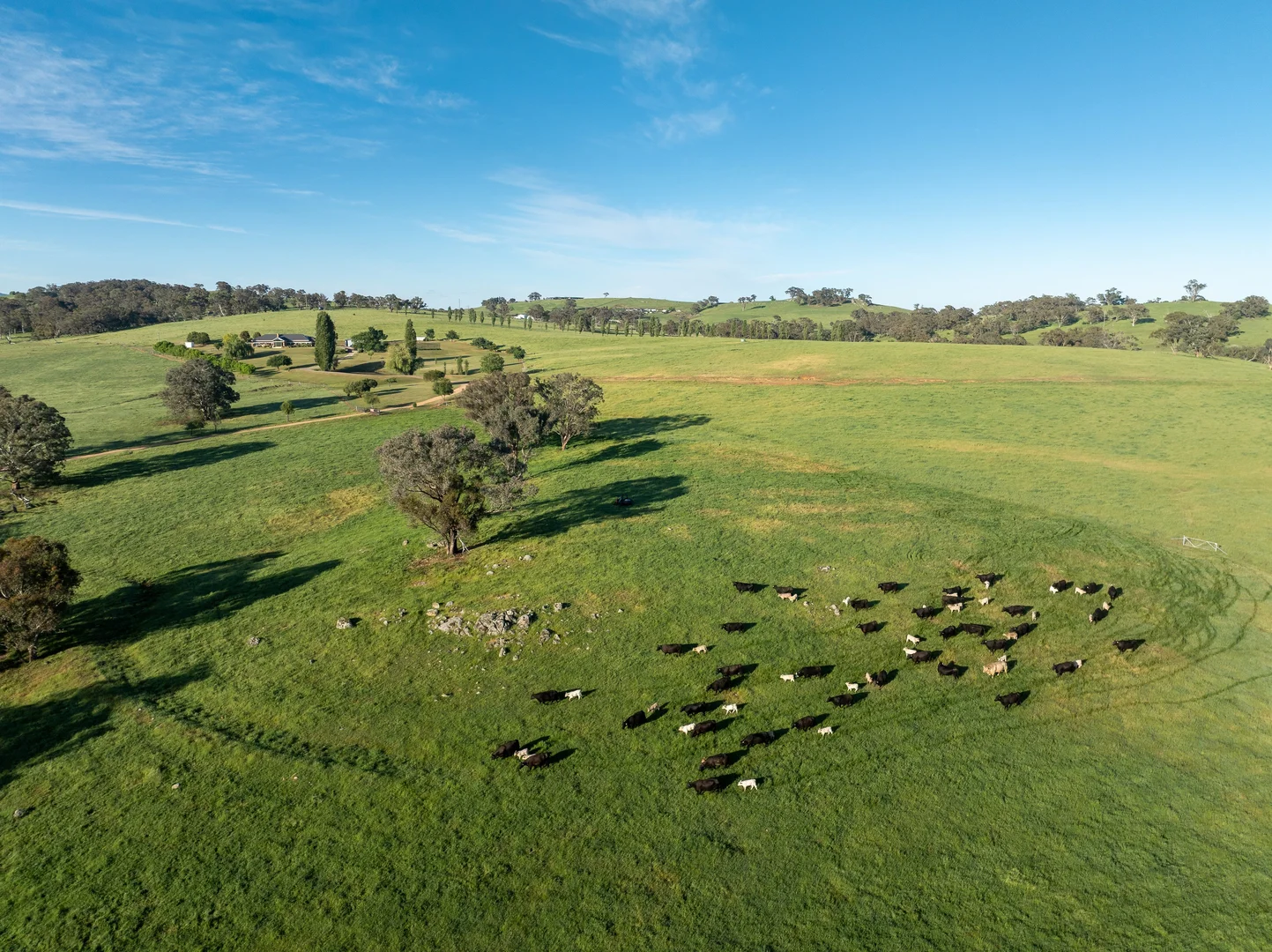 Additional image 19 of 141 Horspool Way, Orange NSW 2800