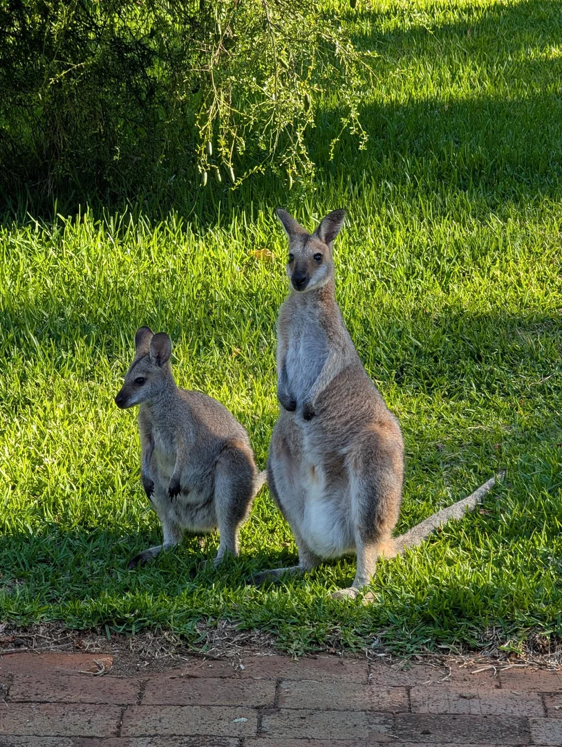 Additional image 28 of Wherrol Flat NSW 2429