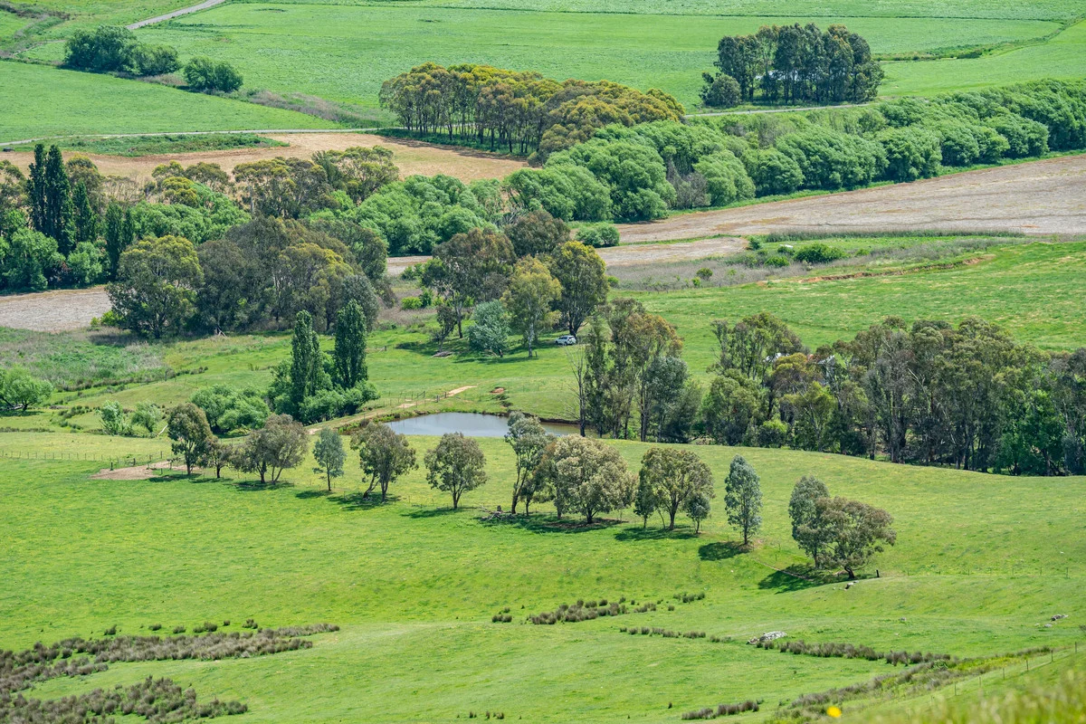 Additional image 5 of Swamp Lane, Dederang VIC 3691
