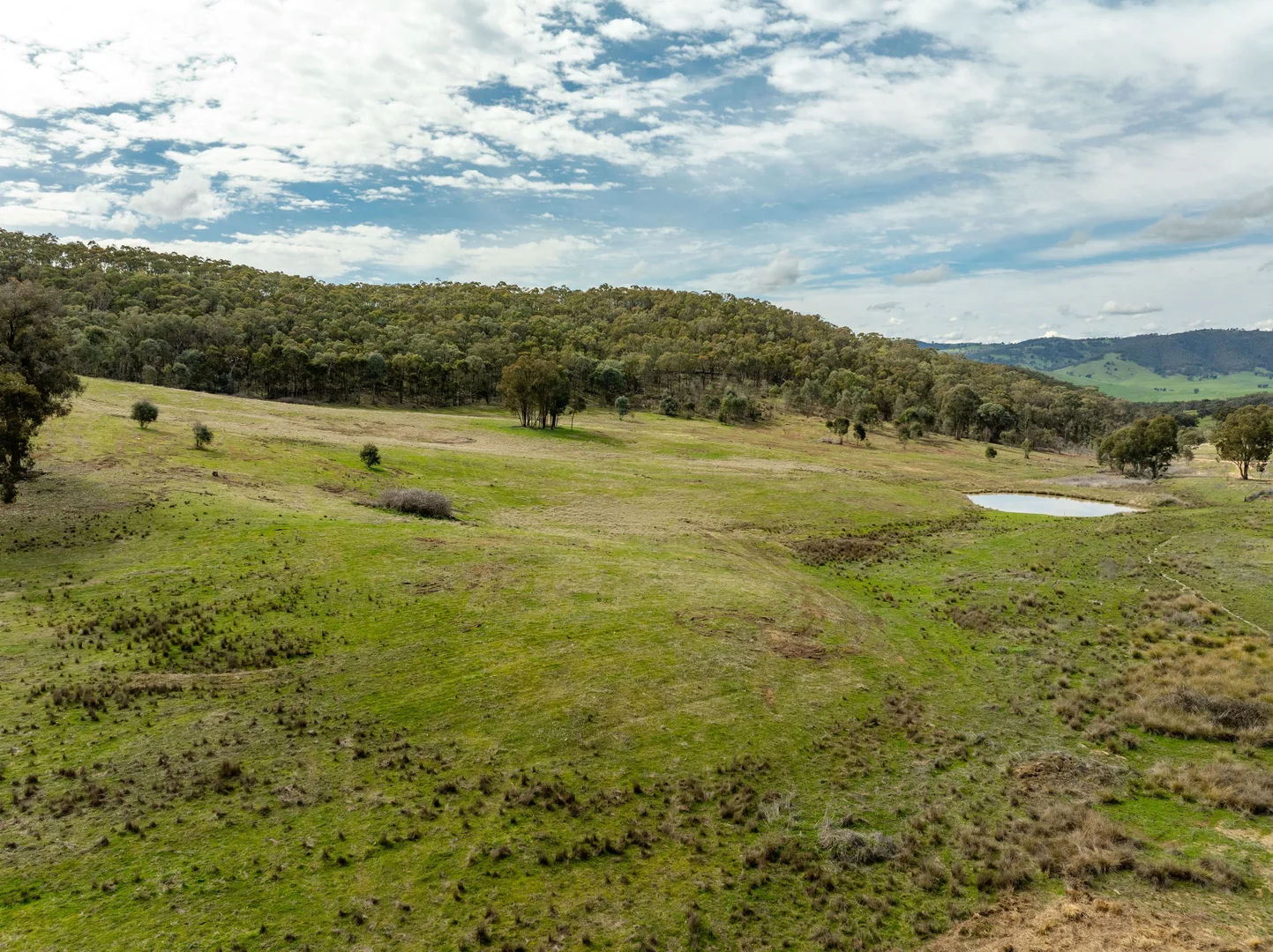 Additional image 44 of 2543 Westbrook Road, Oberne Creek NSW 2650