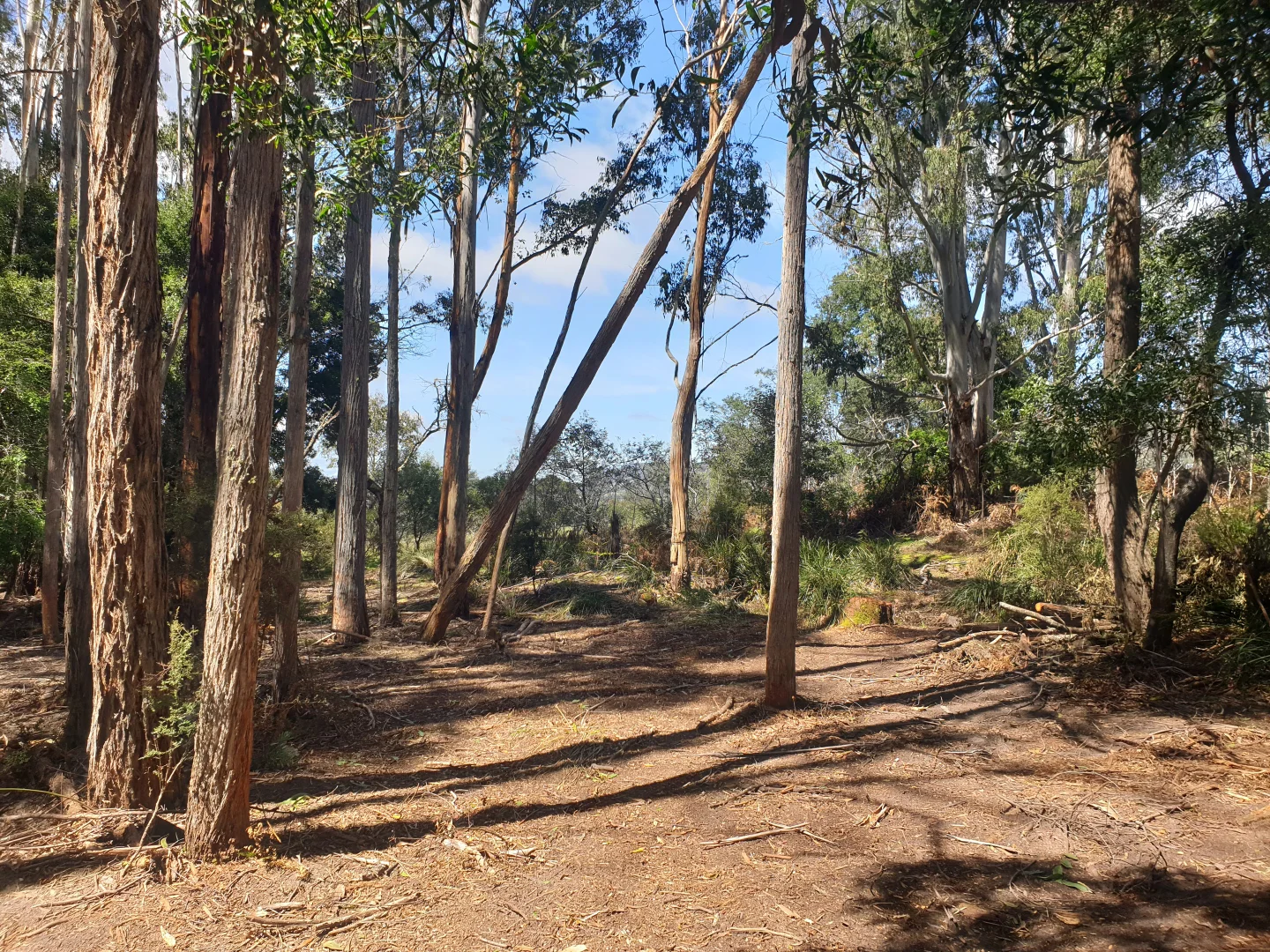 Additional image 4 of 33 Holmes Road, Ellendale TAS 7140