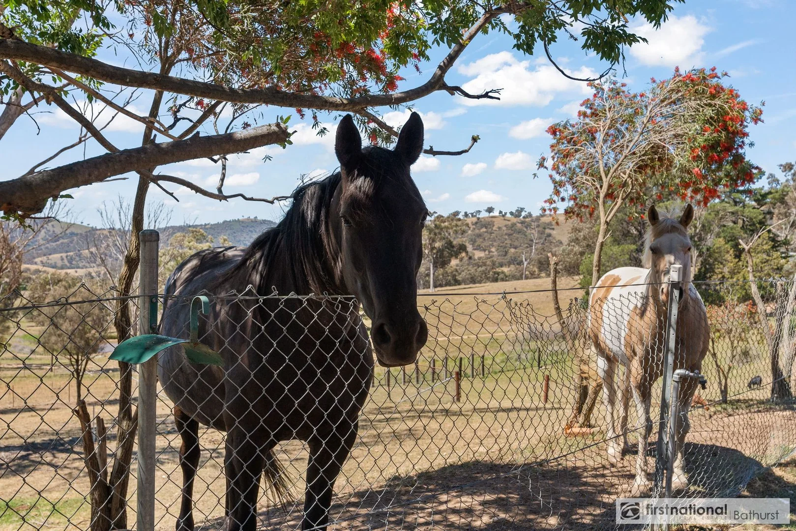 Additional image 17 of 2007 Sofala Road, Peel NSW 2795