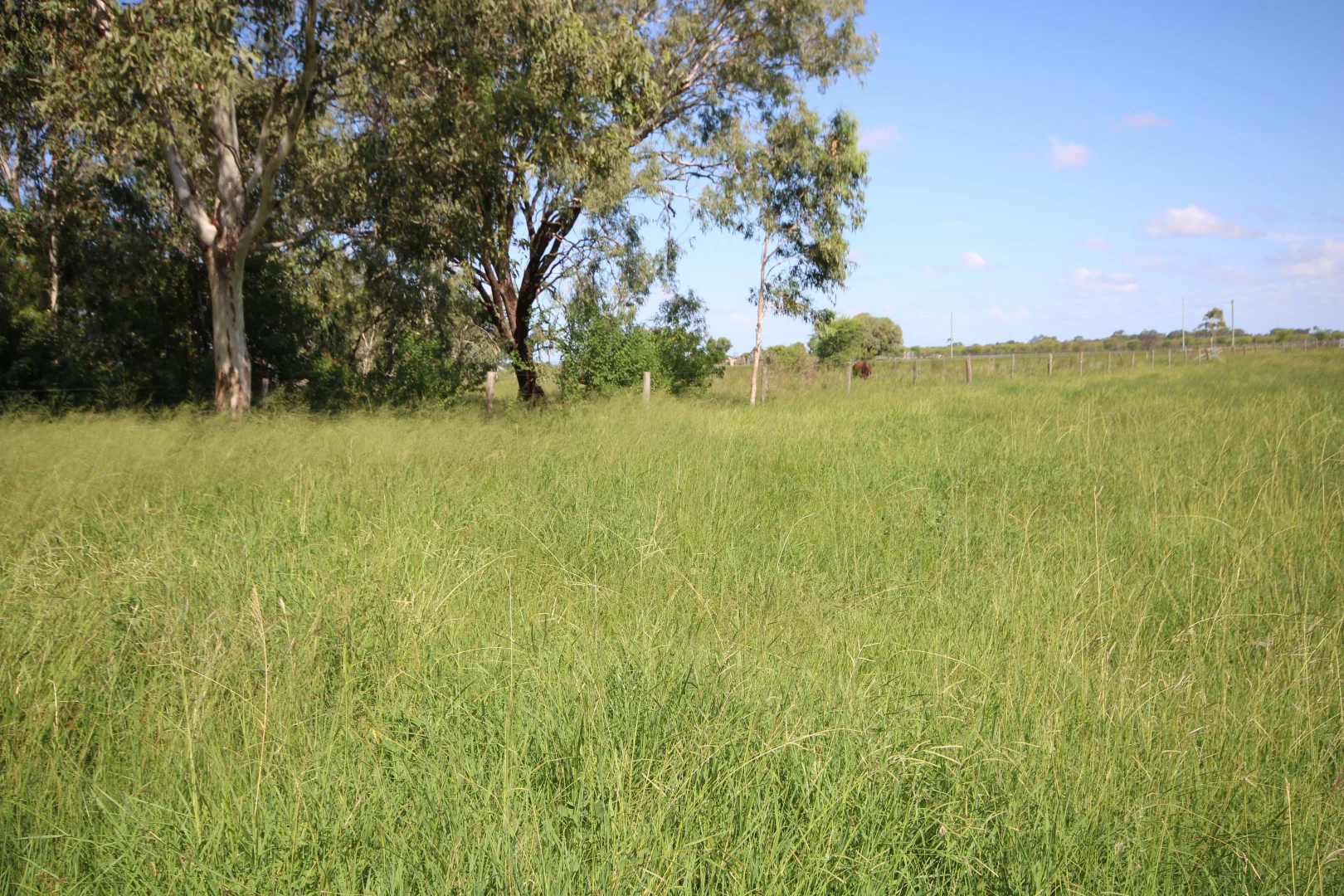 Additional image 30 of 366 GEORGE STREET, Depot Hill QLD 4700