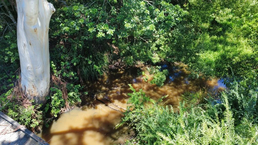 Additional image 2 of 17 Neilson Lane, Lorne NSW 2439