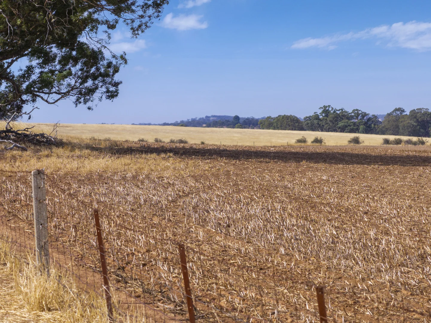 Additional image 8 of 'Murrays' Orana Road, Marrabel SA 5413