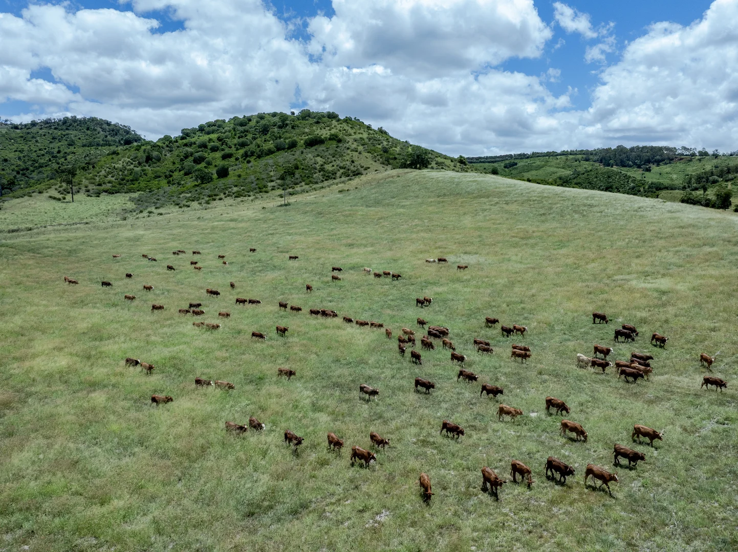 Additional image 6 of 'Double Knob' Nangur Road, Tansey QLD 4601