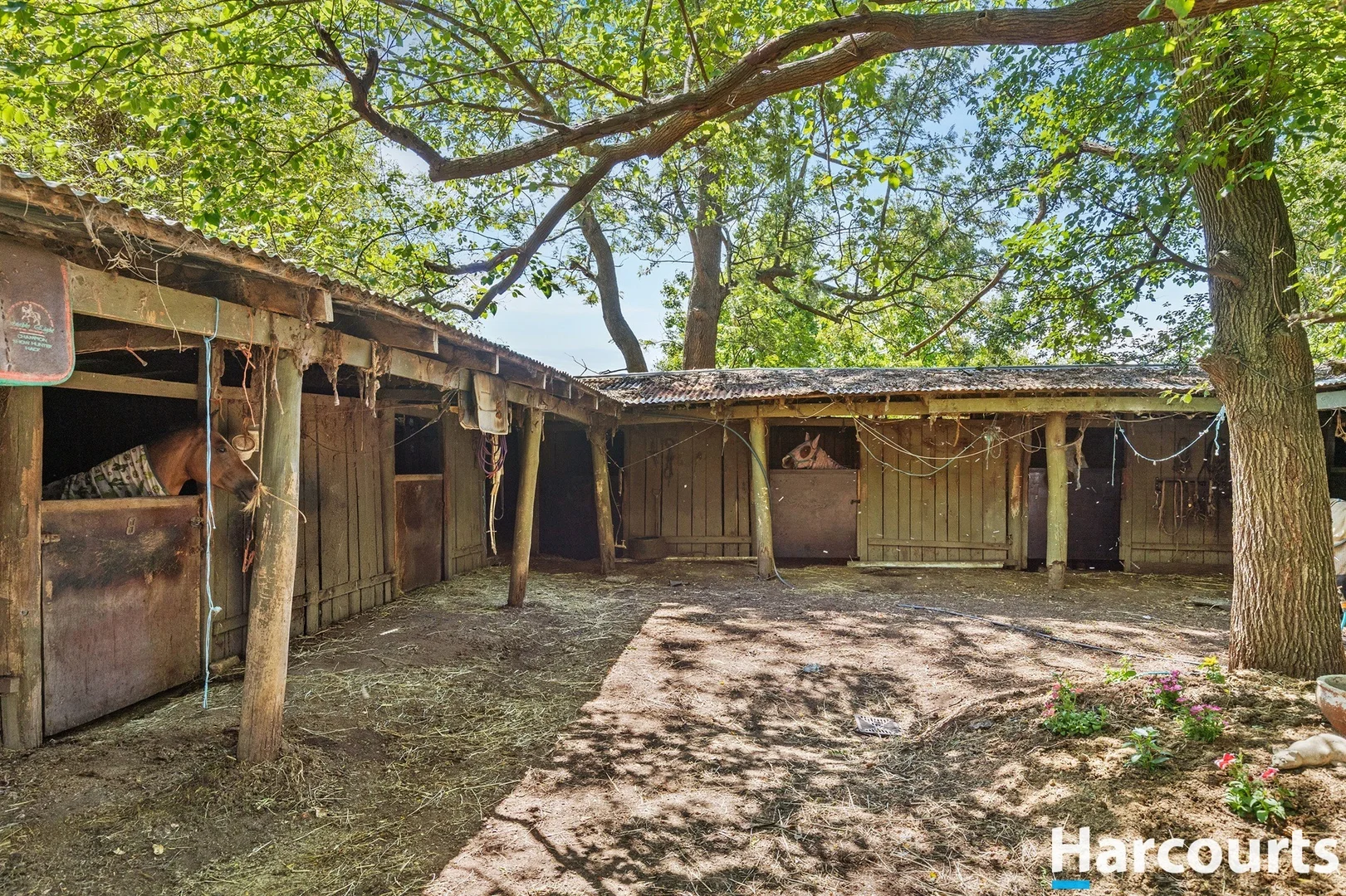 Additional image 17 of 34 Market Street, Hinton NSW 2321