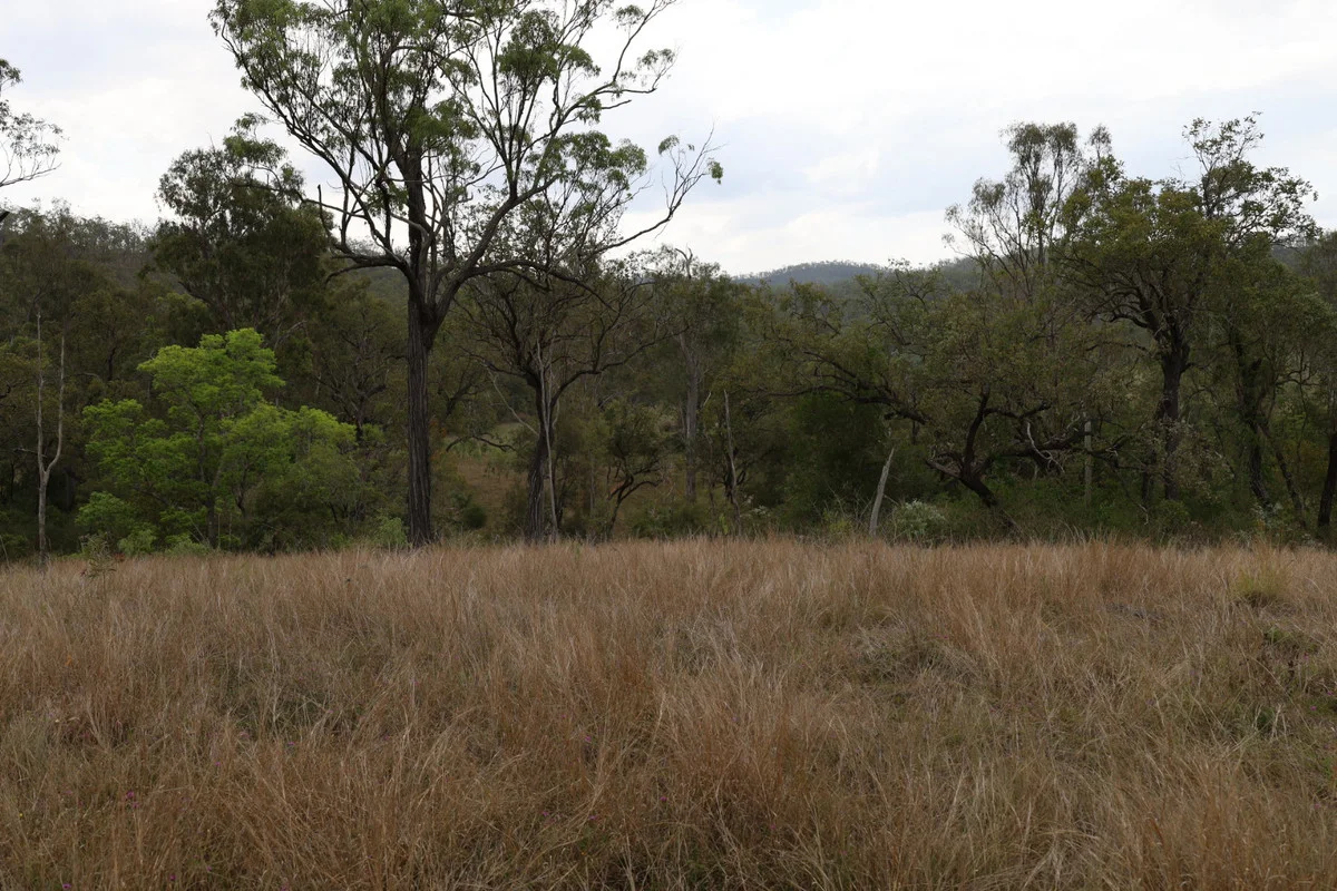 Additional image 11 of 479 Pine Mountain Creek Road, Monto QLD 4630