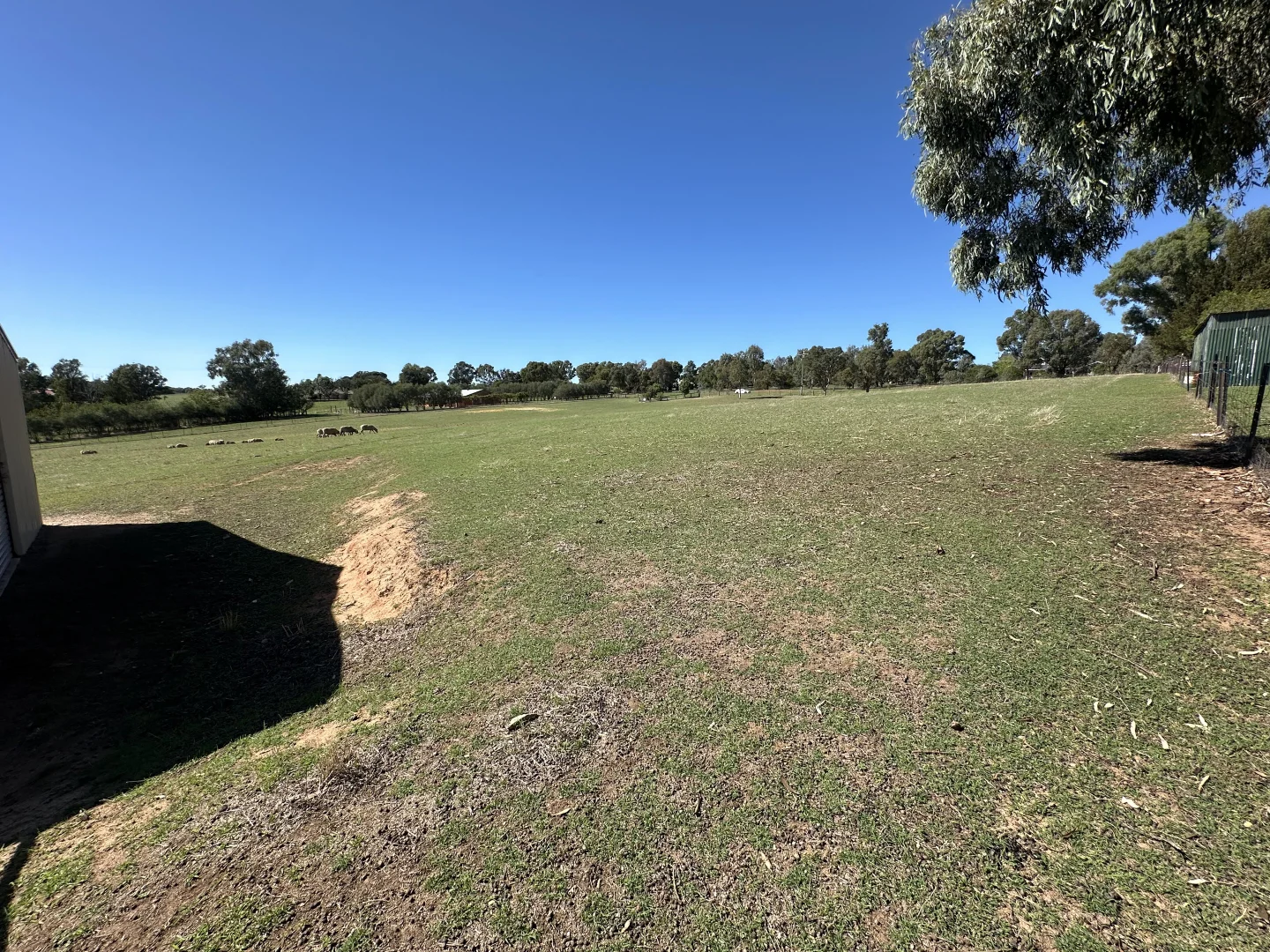 Additional image 6 of 236 East Street, Harden NSW 2587