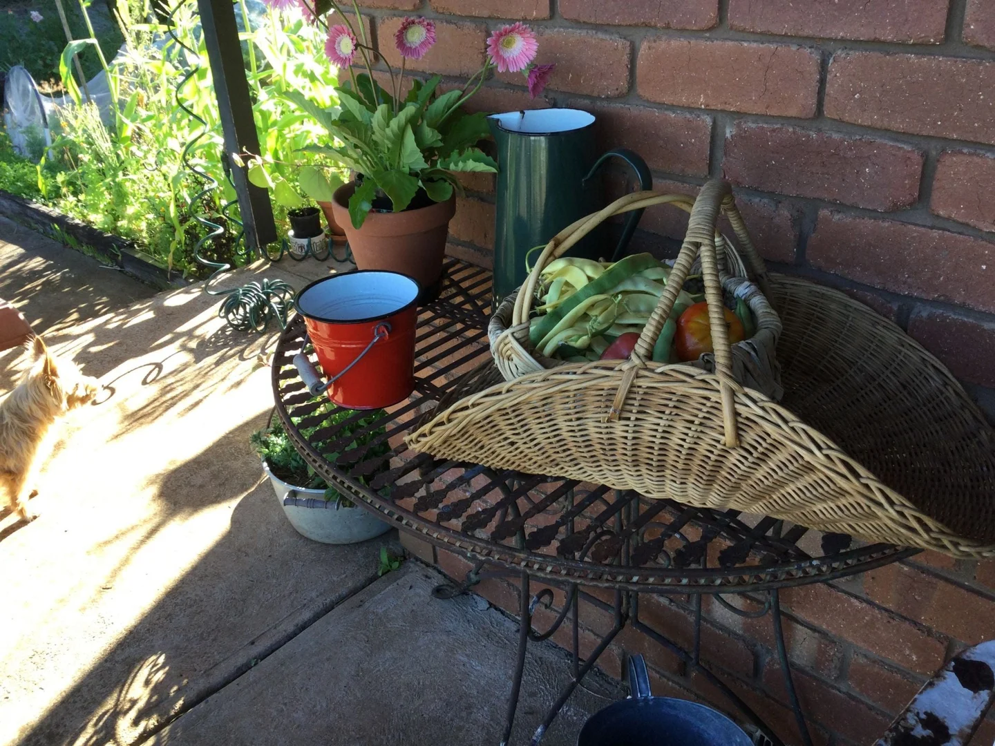 Additional image 24 of 25 McMahons Road, Glenlyon VIC 3461