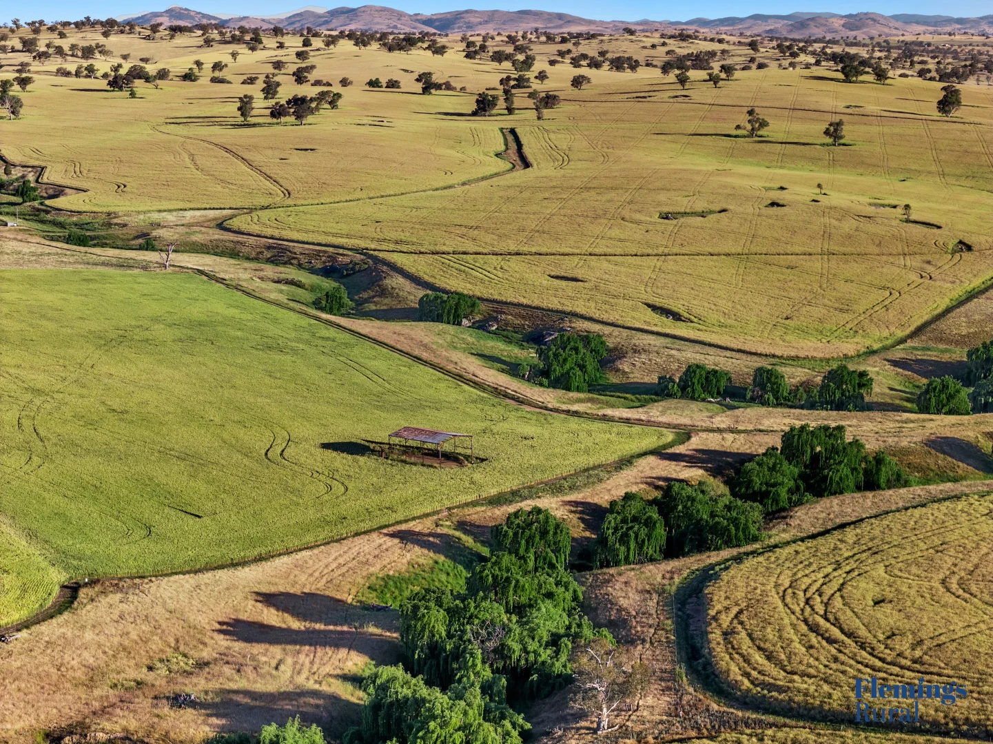 Additional image 2 of 170 Kanoona Road, Harden NSW 2587
