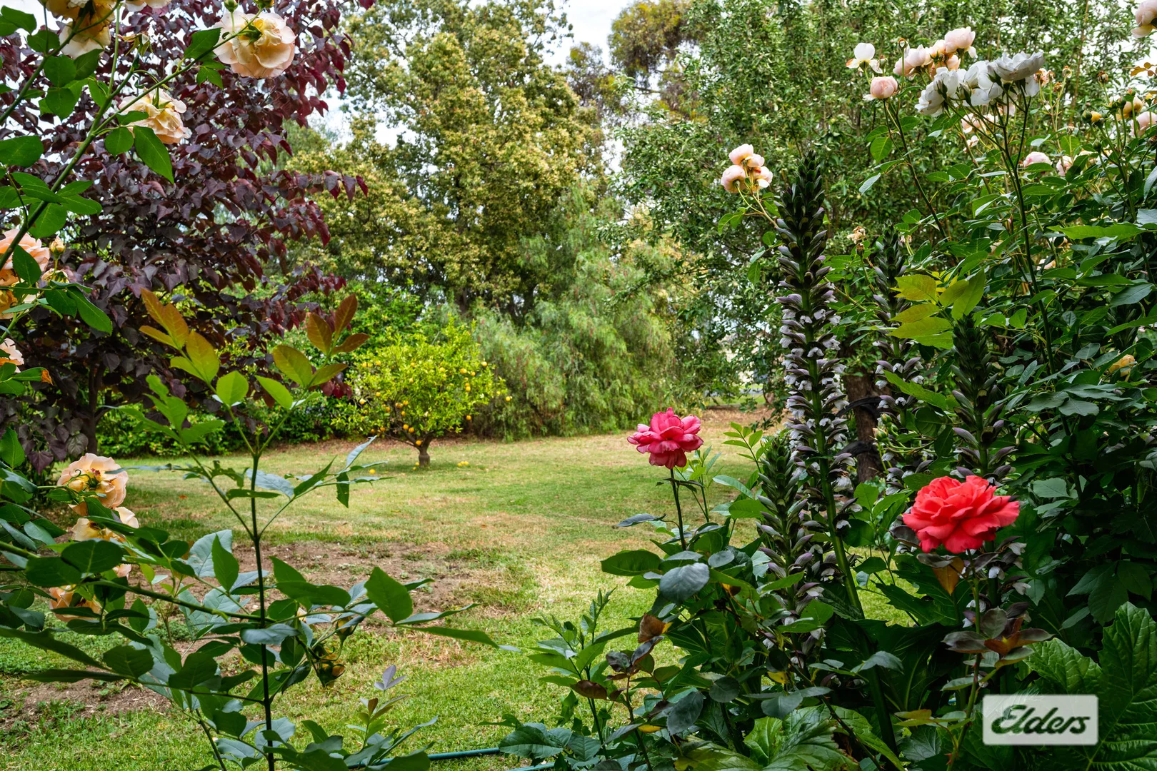 Additional image 13 of 41-43 Howlong Road, Rutherglen VIC 3685