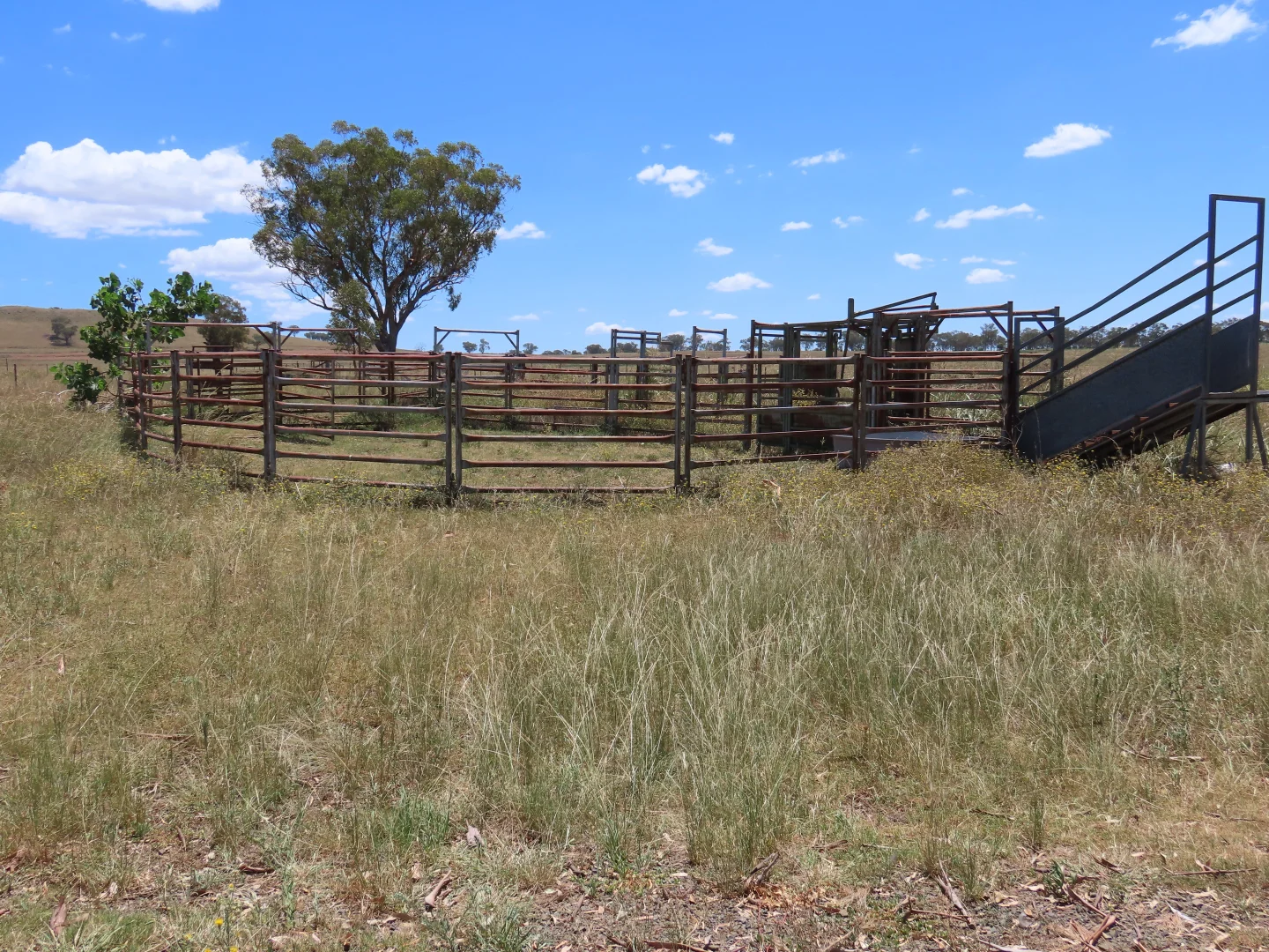 Additional image 2 of "Wattle-wee-doo" 14213 New England HWY, Timbumburi NSW 2340