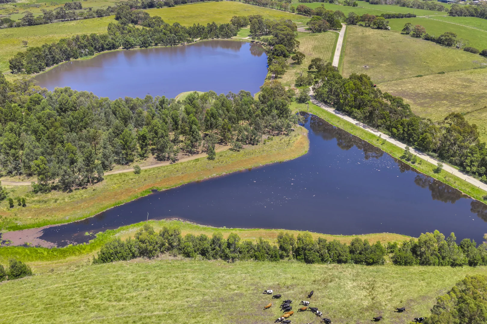 Additional image 3 of 2185 Dalyston-Glen Forbes Road, Glen Forbes VIC 3990