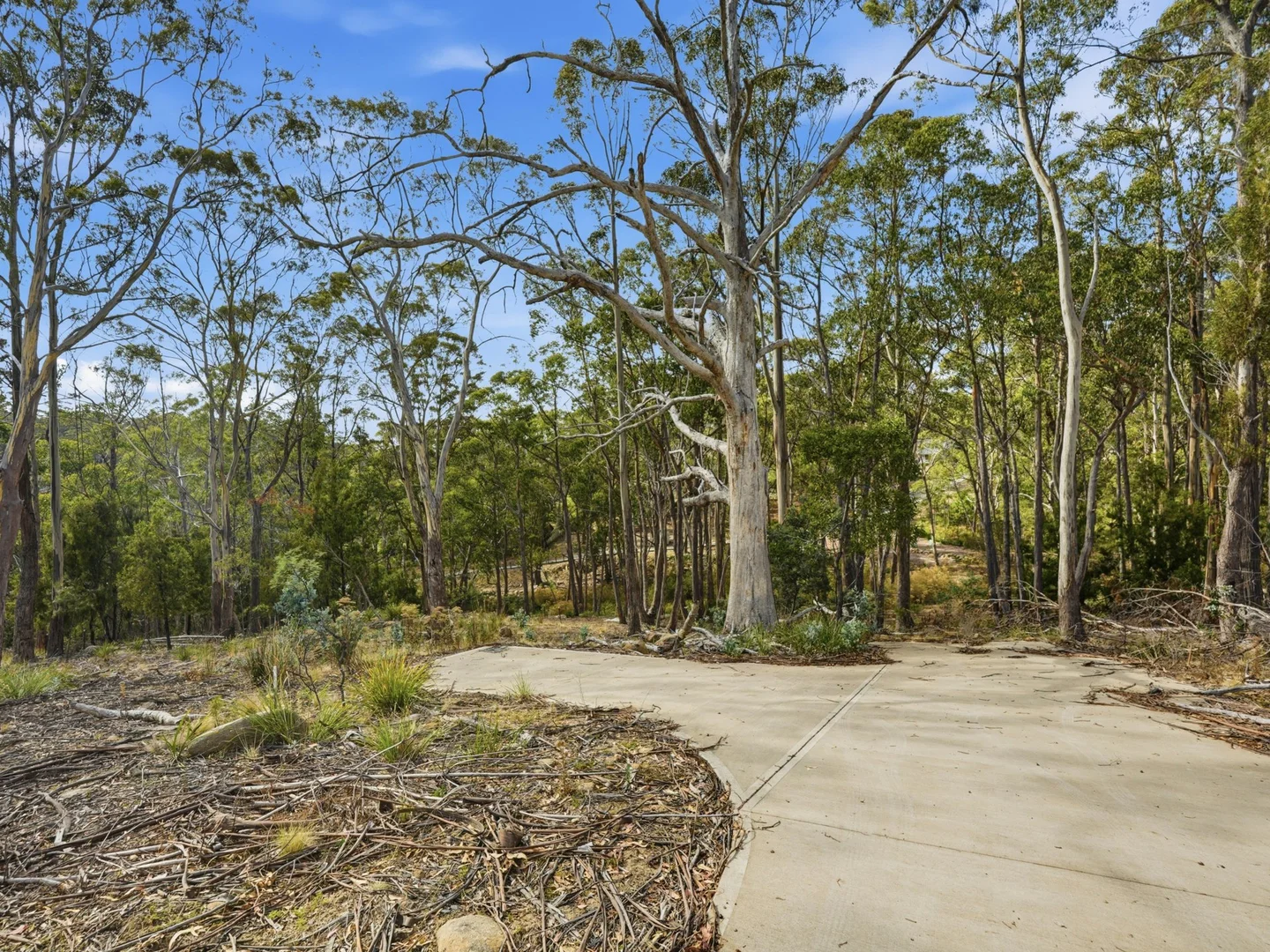 Additional image 4 of 11 Hargrave Place, Mount Nelson TAS 7007