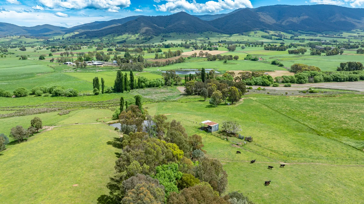 Additional image 6 of Swamp Lane, Dederang VIC 3691