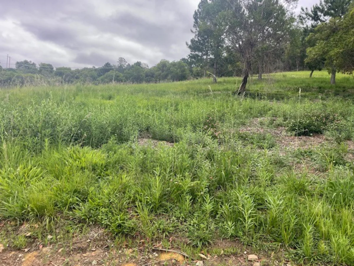 Additional image 3 of Ocean View QLD 4521