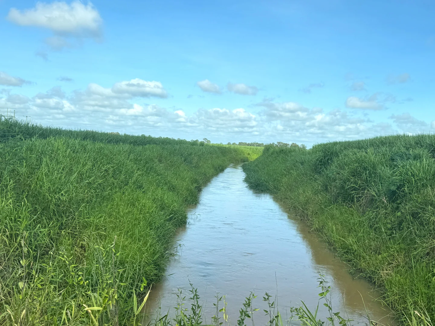 Additional image 11 of 1214 Kirknie Road, Osborne QLD 4806