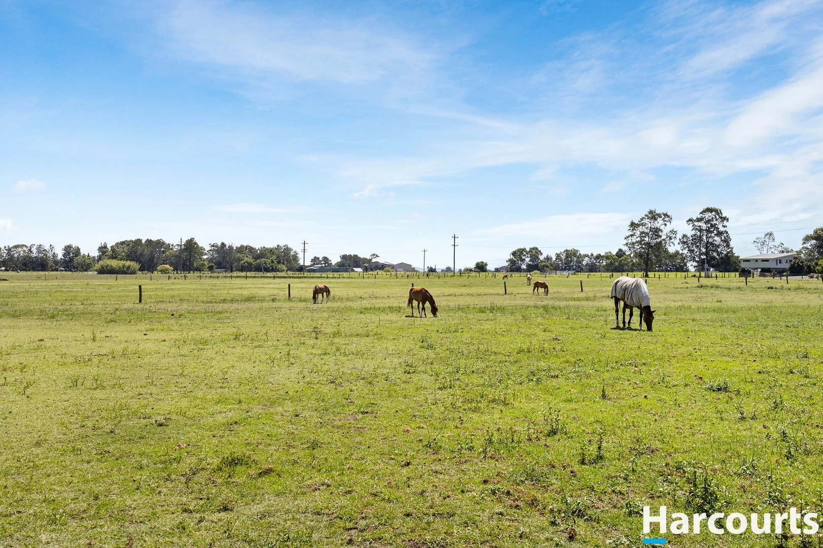 Additional image 12 of 34 Market Street, Hinton NSW 2321