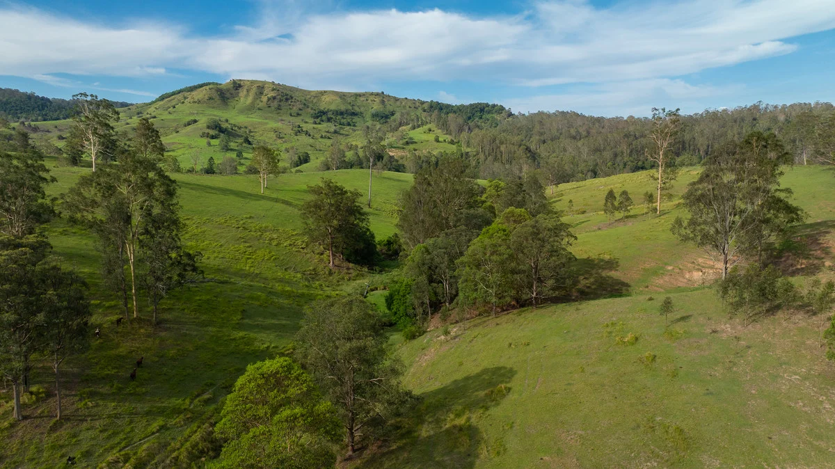 Additional image 33 of Bingeebeebra Creek, Mummulgum NSW 2469