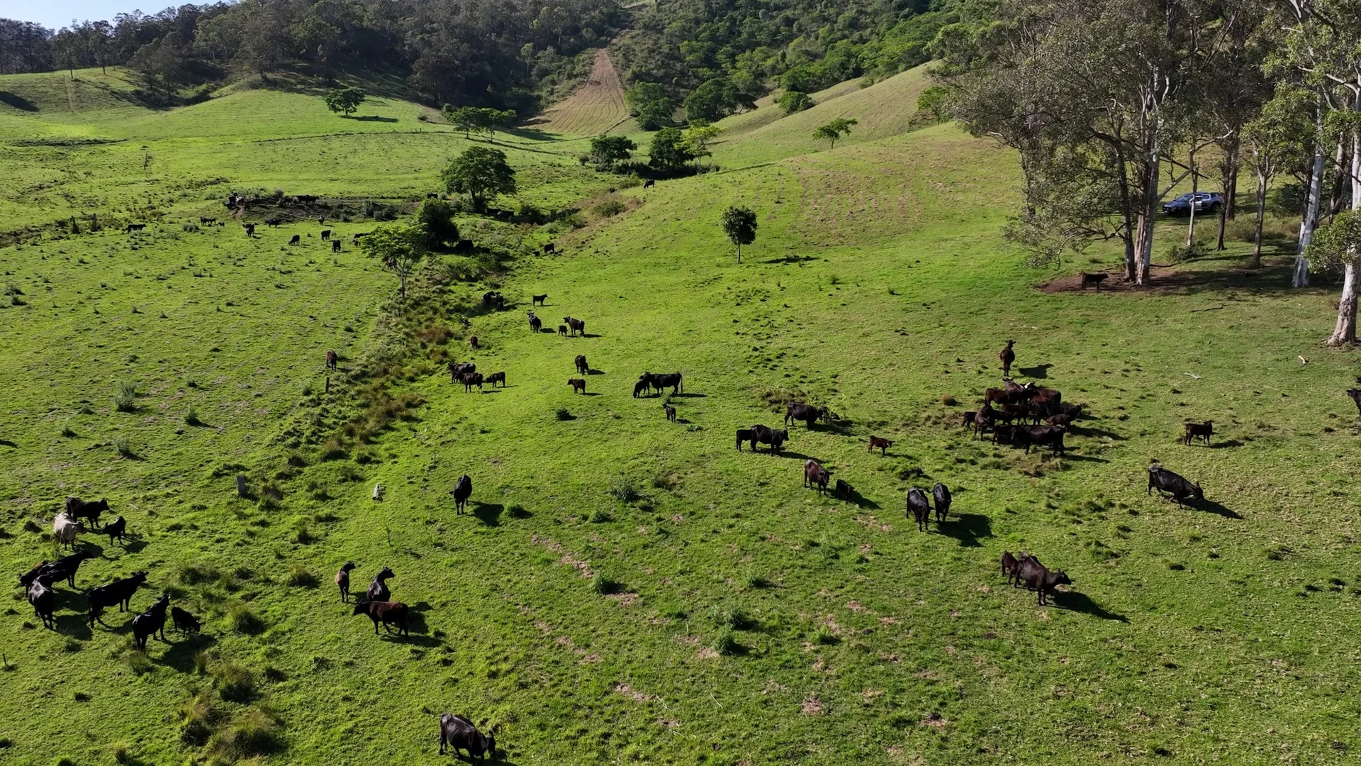 Additional image 26 of 5985 Oxley Highway, Ellenborough NSW 2446