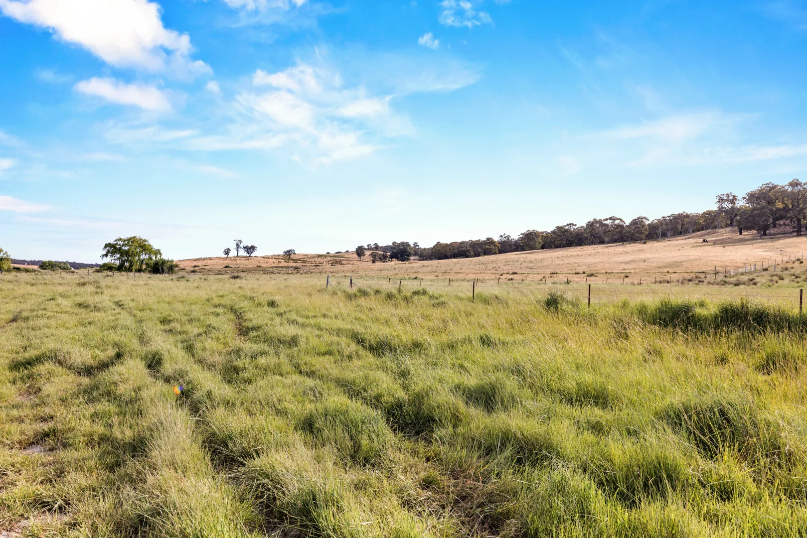 Additional image 10 of Lot 38 Gentle Destiny Road, Boorowa NSW 2586