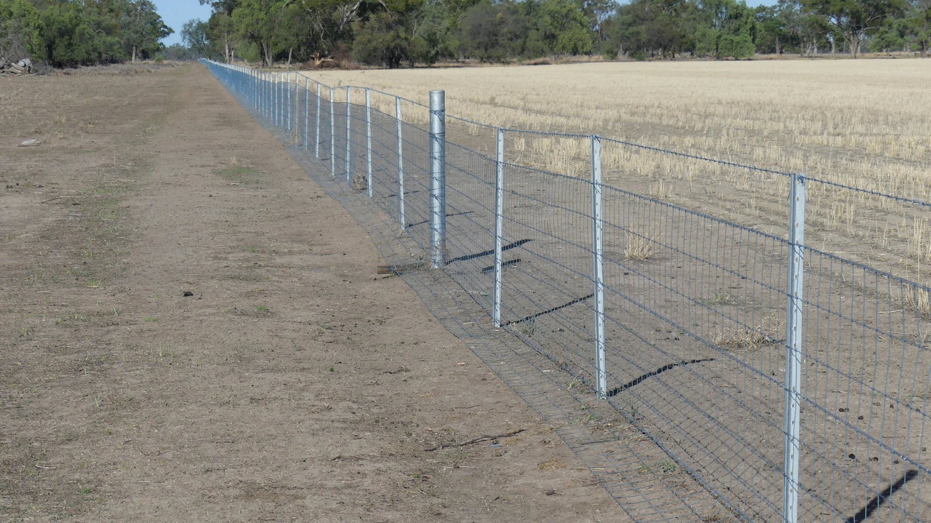 Additional image 15 of Warren NSW 2824