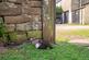 Additional image 29 of Hayton, Aspatria, CA7