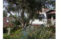Additional image 4 of 126 Center St, Jackson, CA, 95642