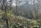 Additional image 3 of Lot 1, Ible, Grangemill, Matlock