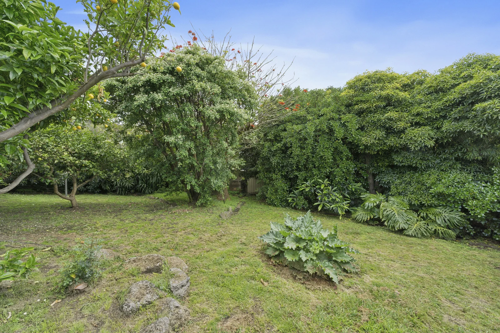 Additional image 14 of 11 Smith Street, Lorne VIC 3232