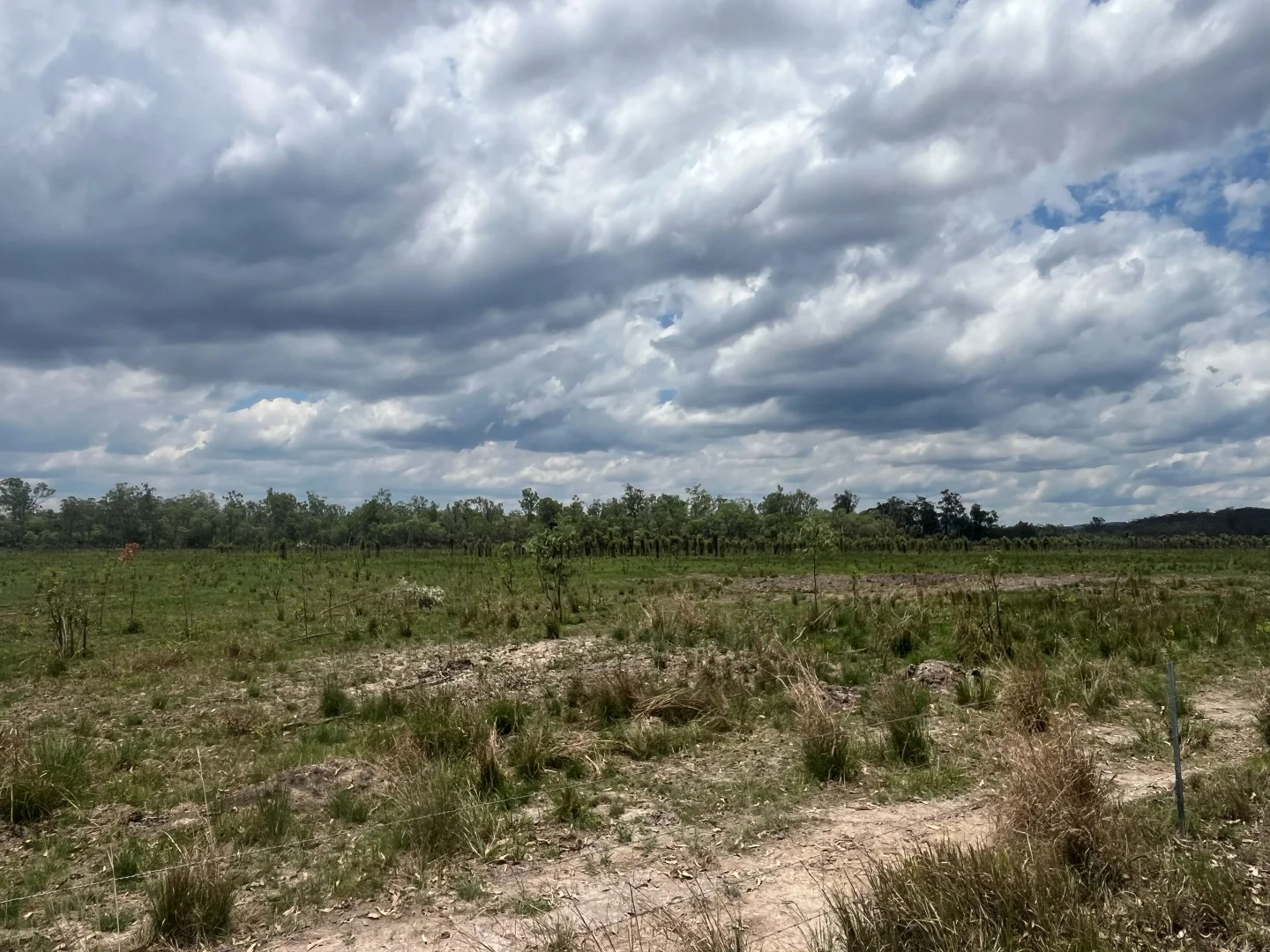 Additional image 56 of Blunder Park Station 382 Blunder Park Road, Ravenshoe QLD 4888