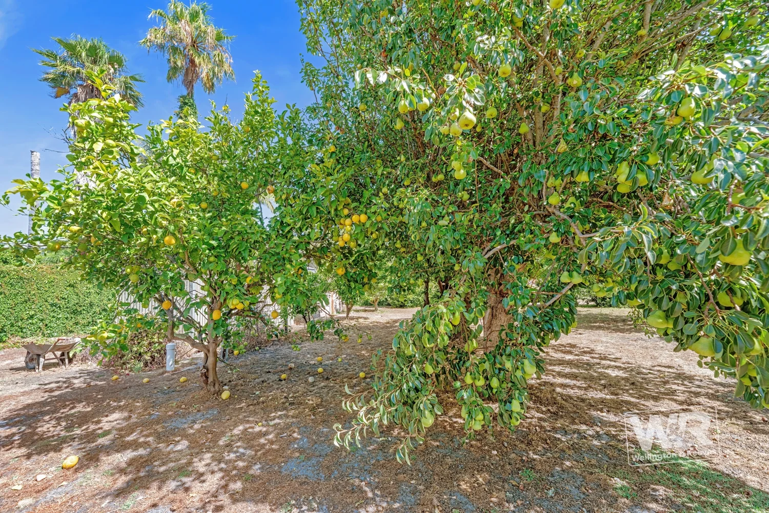 Additional image 29 of 13 The Esplanade, Bayonet Head WA 6330