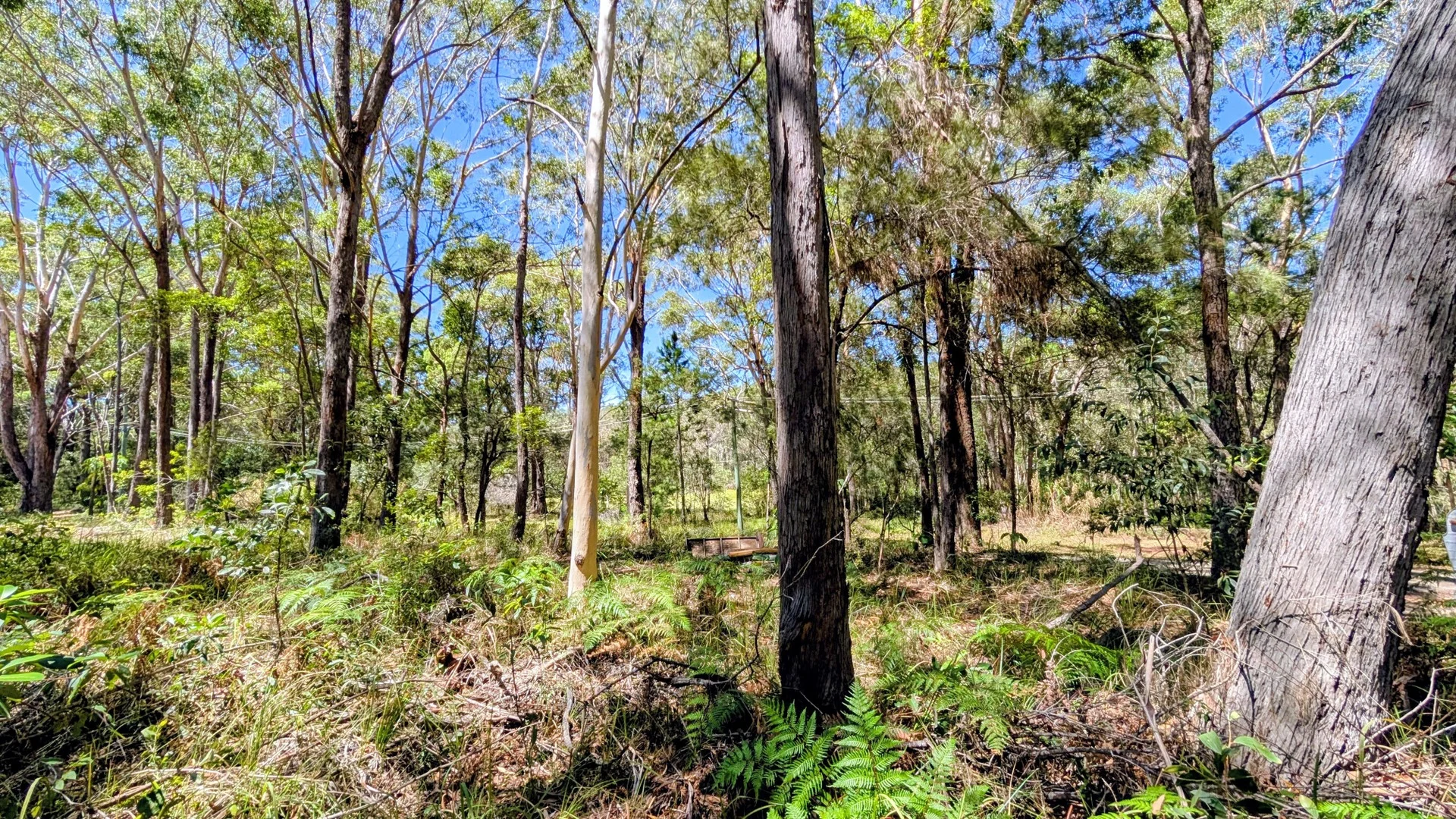 2 Canopy Cres, Russell Island QLD 4184