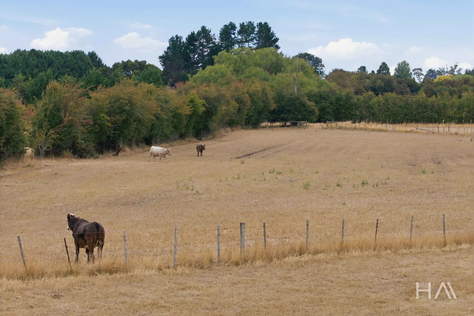 Additional image 21 of 104 Mary Street, Westbury TAS 7303